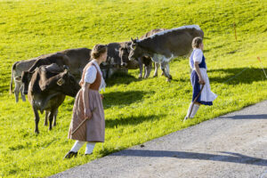 Appenzell, Appenzell Ausserrohden, Appenzeller Hinterland, Autumn, Fall, Herbst, Landwirtschaft, Ostschweiz, Schweiz, Sennen, Suisse, Switzerland, Tracht, Viehschau, Waldstatt, Wirtschaft, tradition