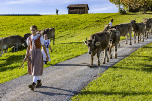 Appenzell, Appenzell Ausserrohden, Appenzeller Hinterland, Autumn, Fall, Herbst, Landwirtschaft, Ostschweiz, Schweiz, Sennen, Suisse, Switzerland, Tracht, Viehschau, Waldstatt, Wirtschaft, tradition