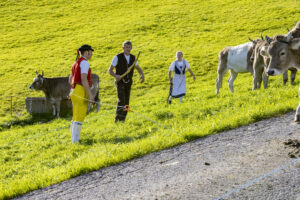 Appenzell, Appenzell Ausserrohden, Appenzeller Hinterland, Autumn, Fall, Herbst, Landwirtschaft, Ostschweiz, Schweiz, Sennen, Suisse, Switzerland, Tracht, Viehschau, Waldstatt, Wirtschaft, tradition