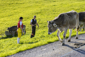Appenzell, Appenzell Ausserrohden, Appenzeller Hinterland, Autumn, Fall, Herbst, Landwirtschaft, Ostschweiz, Schweiz, Sennen, Suisse, Switzerland, Tracht, Viehschau, Waldstatt, Wirtschaft, tradition