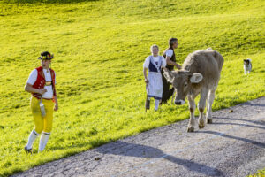 Appenzell, Appenzell Ausserrohden, Appenzeller Hinterland, Autumn, Fall, Herbst, Landwirtschaft, Ostschweiz, Schweiz, Sennen, Suisse, Switzerland, Tracht, Viehschau, Waldstatt, Wirtschaft, tradition