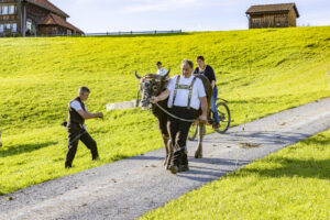 Appenzell, Appenzell Ausserrohden, Appenzeller Hinterland, Autumn, Fall, Herbst, Landwirtschaft, Ostschweiz, Schweiz, Sennen, Suisse, Switzerland, Tracht, Viehschau, Waldstatt, Wirtschaft, tradition