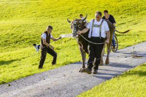 Appenzell, Appenzell Ausserrohden, Appenzeller Hinterland, Autumn, Fall, Herbst, Landwirtschaft, Ostschweiz, Schweiz, Sennen, Suisse, Switzerland, Tracht, Viehschau, Waldstatt, Wirtschaft, tradition