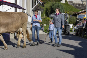 Appenzell, Appenzell Ausserrohden, Appenzeller Vorderland, Landwirtschaft, Ostschweiz, Schweiz, Suisse, Switzerland, Viehschau, Walzenhausen, Wirtschaft