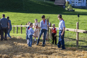 Appenzell, Appenzell Ausserrohden, Appenzeller Vorderland, Landwirtschaft, Ostschweiz, Schweiz, Suisse, Switzerland, Viehschau, Walzenhausen, Wirtschaft