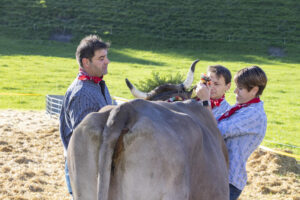 Appenzell, Appenzell Ausserrohden, Appenzeller Vorderland, Landwirtschaft, Ostschweiz, Schweiz, Suisse, Switzerland, Viehschau, Walzenhausen, Wirtschaft