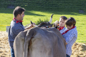 Appenzell, Appenzell Ausserrohden, Appenzeller Vorderland, Landwirtschaft, Ostschweiz, Schweiz, Suisse, Switzerland, Viehschau, Walzenhausen, Wirtschaft