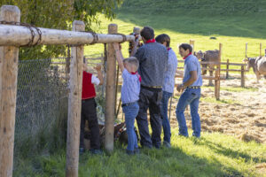 Appenzell, Appenzell Ausserrohden, Appenzeller Vorderland, Landwirtschaft, Ostschweiz, Schweiz, Suisse, Switzerland, Viehschau, Walzenhausen, Wirtschaft