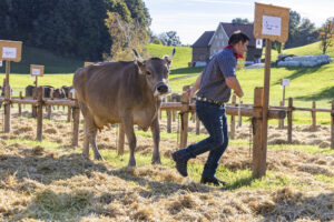 Appenzell, Appenzell Ausserrohden, Appenzeller Vorderland, Landwirtschaft, Ostschweiz, Schweiz, Suisse, Switzerland, Viehschau, Walzenhausen, Wirtschaft