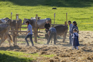 Appenzell, Appenzell Ausserrohden, Appenzeller Vorderland, Landwirtschaft, Ostschweiz, Schweiz, Suisse, Switzerland, Viehschau, Walzenhausen, Wirtschaft
