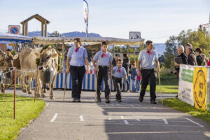 Appenzell, Appenzell Ausserrohden, Appenzeller Vorderland, Landwirtschaft, Ostschweiz, Schweiz, Suisse, Switzerland, Viehschau, Walzenhausen, Wirtschaft