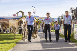 Appenzell, Appenzell Ausserrohden, Appenzeller Vorderland, Landwirtschaft, Ostschweiz, Schweiz, Suisse, Switzerland, Viehschau, Walzenhausen, Wirtschaft