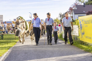 Appenzell, Appenzell Ausserrohden, Appenzeller Vorderland, Landwirtschaft, Ostschweiz, Schweiz, Suisse, Switzerland, Viehschau, Walzenhausen, Wirtschaft