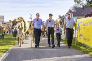 Appenzell, Appenzell Ausserrohden, Appenzeller Vorderland, Landwirtschaft, Ostschweiz, Schweiz, Suisse, Switzerland, Viehschau, Walzenhausen, Wirtschaft