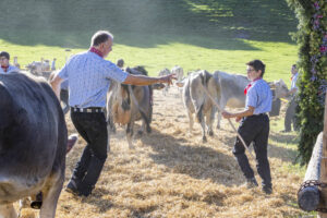 Appenzell, Appenzell Ausserrohden, Appenzeller Vorderland, Landwirtschaft, Ostschweiz, Schweiz, Suisse, Switzerland, Viehschau, Walzenhausen, Wirtschaft