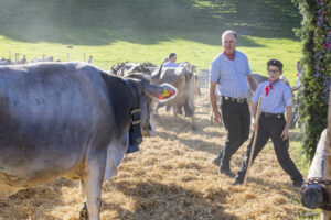 Appenzell, Appenzell Ausserrohden, Appenzeller Vorderland, Landwirtschaft, Ostschweiz, Schweiz, Suisse, Switzerland, Viehschau, Walzenhausen, Wirtschaft