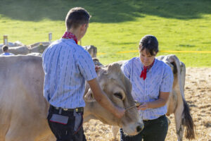 Appenzell, Appenzell Ausserrohden, Appenzeller Vorderland, Landwirtschaft, Ostschweiz, Schweiz, Suisse, Switzerland, Viehschau, Walzenhausen, Wirtschaft