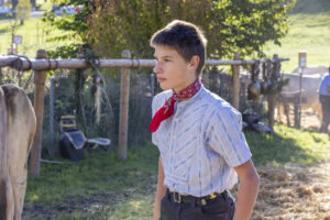 Appenzell, Appenzell Ausserrohden, Appenzeller Vorderland, Landwirtschaft, Ostschweiz, Schweiz, Suisse, Switzerland, Viehschau, Walzenhausen, Wirtschaft