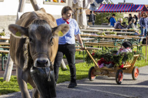 Appenzell, Appenzell Ausserrohden, Appenzeller Vorderland, Landwirtschaft, Ostschweiz, Schweiz, Suisse, Switzerland, Viehschau, Walzenhausen, Wirtschaft