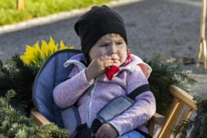 Appenzell, Appenzell Ausserrohden, Appenzeller Vorderland, Landwirtschaft, Ostschweiz, Schweiz, Suisse, Switzerland, Viehschau, Walzenhausen, Wirtschaft