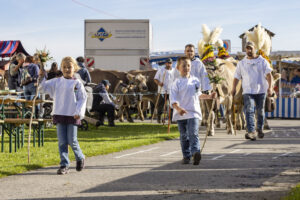Appenzell, Appenzell Ausserrohden, Appenzeller Vorderland, Landwirtschaft, Ostschweiz, Schweiz, Suisse, Switzerland, Viehschau, Walzenhausen, Wirtschaft