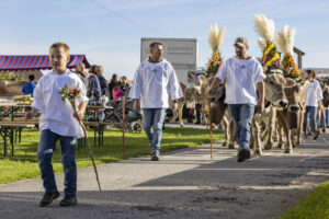 Appenzell, Appenzell Ausserrohden, Appenzeller Vorderland, Landwirtschaft, Ostschweiz, Schweiz, Suisse, Switzerland, Viehschau, Walzenhausen, Wirtschaft