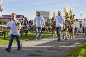 Appenzell, Appenzell Ausserrohden, Appenzeller Vorderland, Landwirtschaft, Ostschweiz, Schweiz, Suisse, Switzerland, Viehschau, Walzenhausen, Wirtschaft