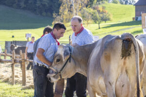 Appenzell, Appenzell Ausserrohden, Appenzeller Vorderland, Landwirtschaft, Ostschweiz, Schweiz, Suisse, Switzerland, Viehschau, Walzenhausen, Wirtschaft