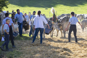 Appenzell, Appenzell Ausserrohden, Appenzeller Vorderland, Landwirtschaft, Ostschweiz, Schweiz, Suisse, Switzerland, Viehschau, Walzenhausen, Wirtschaft