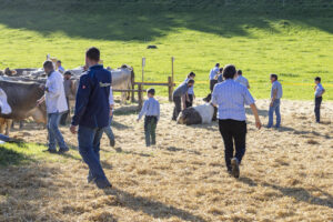 Appenzell, Appenzell Ausserrohden, Appenzeller Vorderland, Landwirtschaft, Ostschweiz, Schweiz, Suisse, Switzerland, Viehschau, Walzenhausen, Wirtschaft