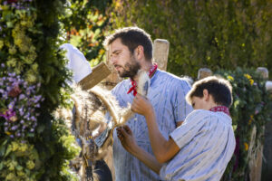 Appenzell, Appenzell Ausserrohden, Appenzeller Vorderland, Landwirtschaft, Ostschweiz, Schweiz, Suisse, Switzerland, Viehschau, Walzenhausen, Wirtschaft