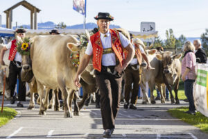 Appenzell, Appenzell Ausserrohden, Appenzeller Vorderland, Landwirtschaft, Ostschweiz, Schweiz, Suisse, Switzerland, Viehschau, Walzenhausen, Wirtschaft