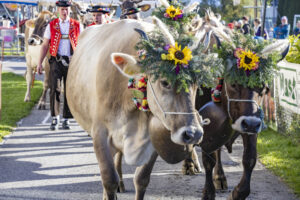 Appenzell, Appenzell Ausserrohden, Appenzeller Vorderland, Landwirtschaft, Ostschweiz, Schweiz, Suisse, Switzerland, Viehschau, Walzenhausen, Wirtschaft