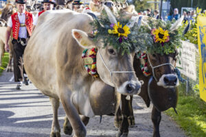 Appenzell, Appenzell Ausserrohden, Appenzeller Vorderland, Landwirtschaft, Ostschweiz, Schweiz, Suisse, Switzerland, Viehschau, Walzenhausen, Wirtschaft
