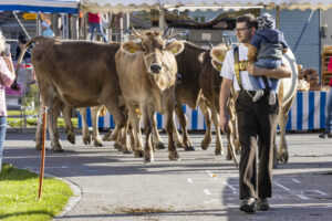 Appenzell, Appenzell Ausserrohden, Appenzeller Vorderland, Landwirtschaft, Ostschweiz, Schweiz, Suisse, Switzerland, Viehschau, Walzenhausen, Wirtschaft
