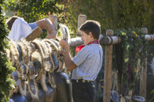 Appenzell, Appenzell Ausserrohden, Appenzeller Vorderland, Landwirtschaft, Ostschweiz, Schweiz, Suisse, Switzerland, Viehschau, Walzenhausen, Wirtschaft