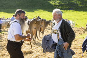 Appenzell, Appenzell Ausserrohden, Appenzeller Vorderland, Landwirtschaft, Ostschweiz, Schweiz, Suisse, Switzerland, Viehschau, Walzenhausen, Wirtschaft