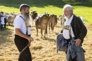 Appenzell, Appenzell Ausserrohden, Appenzeller Vorderland, Landwirtschaft, Ostschweiz, Schweiz, Suisse, Switzerland, Viehschau, Walzenhausen, Wirtschaft
