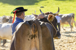 Appenzell, Appenzell Ausserrohden, Appenzeller Vorderland, Landwirtschaft, Ostschweiz, Schweiz, Suisse, Switzerland, Viehschau, Walzenhausen, Wirtschaft