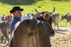 Appenzell, Appenzell Ausserrohden, Appenzeller Vorderland, Landwirtschaft, Ostschweiz, Schweiz, Suisse, Switzerland, Viehschau, Walzenhausen, Wirtschaft