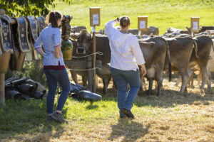 Appenzell, Appenzell Ausserrohden, Appenzeller Vorderland, Landwirtschaft, Ostschweiz, Schweiz, Suisse, Switzerland, Viehschau, Walzenhausen, Wirtschaft