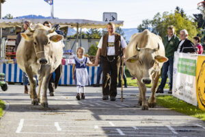 Appenzell, Appenzell Ausserrohden, Appenzeller Vorderland, Landwirtschaft, Ostschweiz, Schweiz, Suisse, Switzerland, Viehschau, Walzenhausen, Wirtschaft