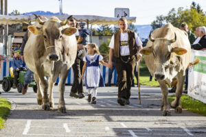 Appenzell, Appenzell Ausserrohden, Appenzeller Vorderland, Landwirtschaft, Ostschweiz, Schweiz, Suisse, Switzerland, Viehschau, Walzenhausen, Wirtschaft