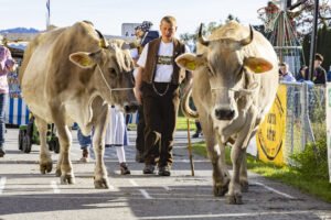 Appenzell, Appenzell Ausserrohden, Appenzeller Vorderland, Landwirtschaft, Ostschweiz, Schweiz, Suisse, Switzerland, Viehschau, Walzenhausen, Wirtschaft