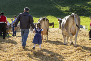 Appenzell, Appenzell Ausserrohden, Appenzeller Vorderland, Landwirtschaft, Ostschweiz, Schweiz, Suisse, Switzerland, Viehschau, Walzenhausen, Wirtschaft