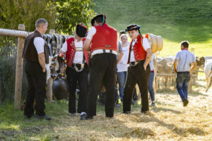 Appenzell, Appenzell Ausserrohden, Appenzeller Vorderland, Landwirtschaft, Ostschweiz, Schweiz, Suisse, Switzerland, Viehschau, Walzenhausen, Wirtschaft