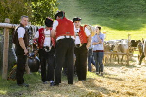 Appenzell, Appenzell Ausserrohden, Appenzeller Vorderland, Landwirtschaft, Ostschweiz, Schweiz, Suisse, Switzerland, Viehschau, Walzenhausen, Wirtschaft