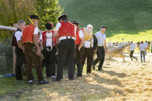 Appenzell, Appenzell Ausserrohden, Appenzeller Vorderland, Landwirtschaft, Ostschweiz, Schweiz, Suisse, Switzerland, Viehschau, Walzenhausen, Wirtschaft