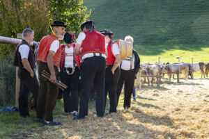 Appenzell, Appenzell Ausserrohden, Appenzeller Vorderland, Landwirtschaft, Ostschweiz, Schweiz, Suisse, Switzerland, Viehschau, Walzenhausen, Wirtschaft