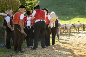Appenzell, Appenzell Ausserrohden, Appenzeller Vorderland, Landwirtschaft, Ostschweiz, Schweiz, Suisse, Switzerland, Viehschau, Walzenhausen, Wirtschaft
